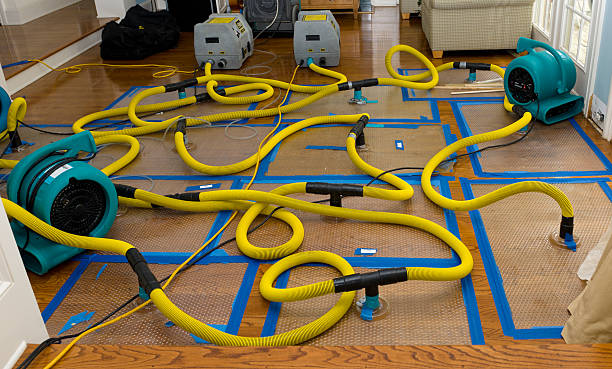 Professional Burst Pipe Water Damage technician working in Bay Port, MI